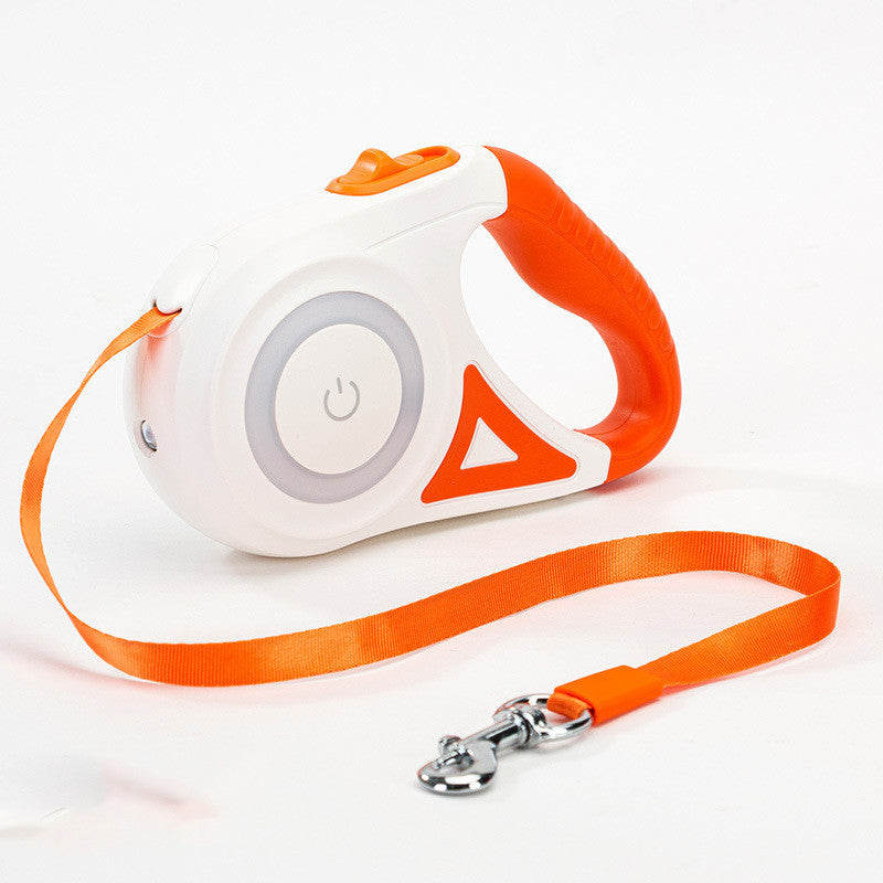 Walk Your Dog Stylishly with Lights & Comfort!