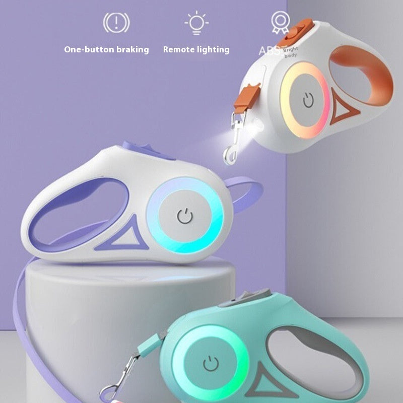 Walk Your Dog Stylishly with Lights & Comfort!