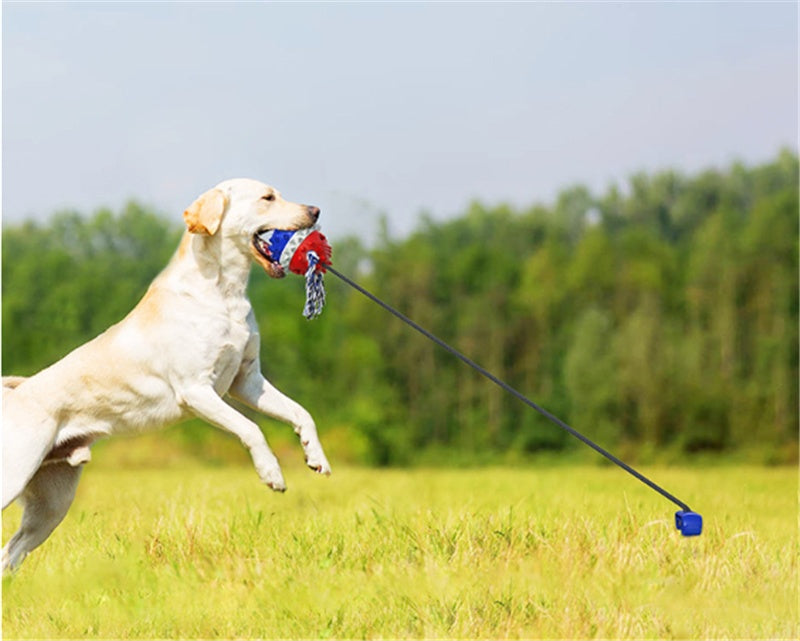 Tough Tug Ball for Teething Dogs – Outdoor Fun!