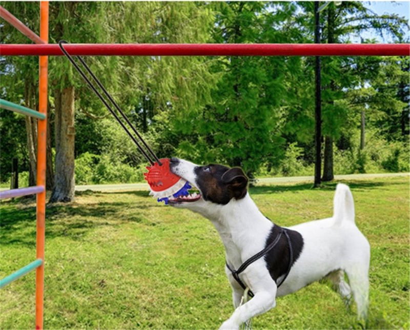 Tough Tug Ball for Teething Dogs – Outdoor Fun!