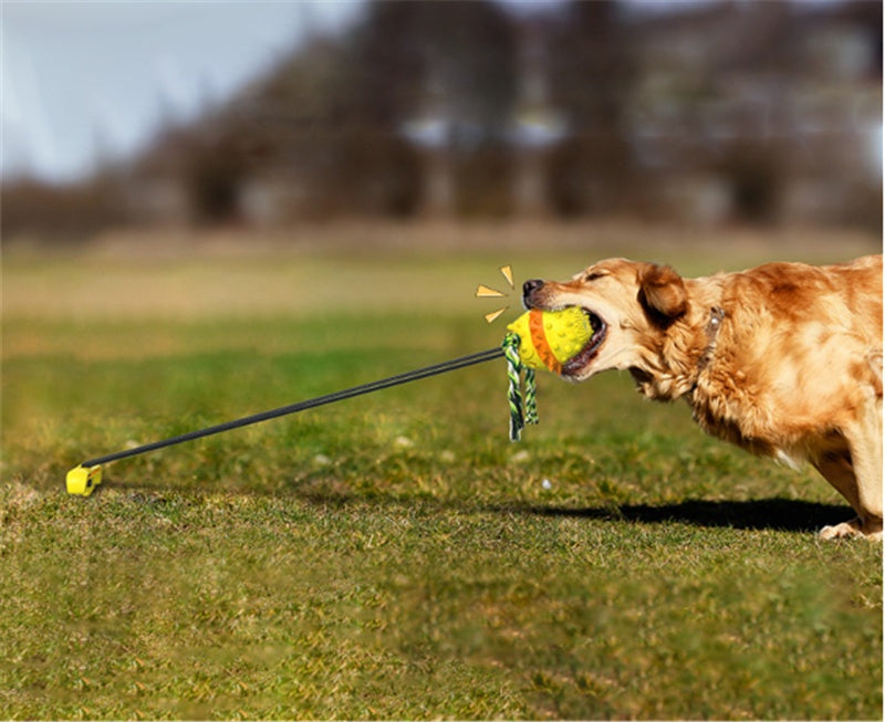 Tough Tug Ball for Teething Dogs – Outdoor Fun!