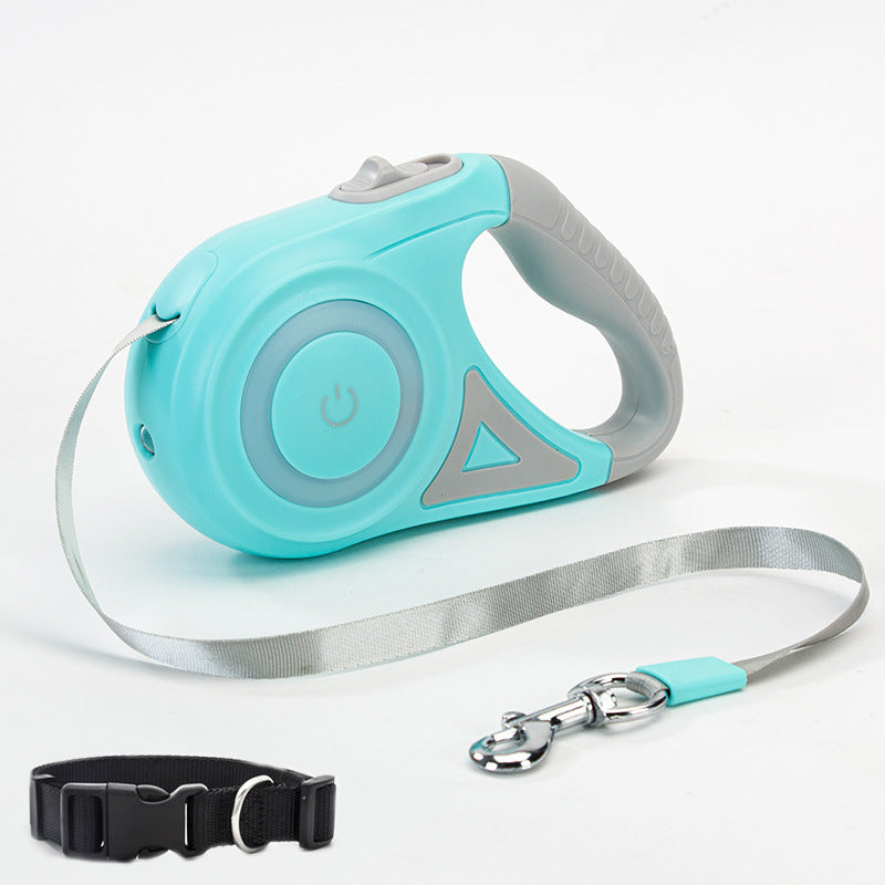 Walk Your Dog Stylishly with Lights & Comfort!
