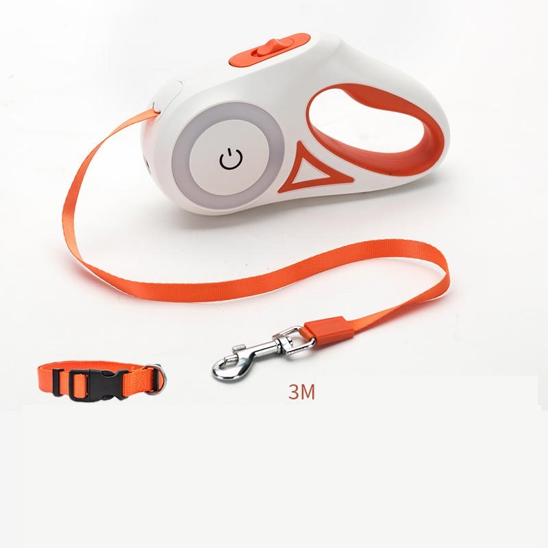 Walk Your Dog Stylishly with Lights & Comfort!