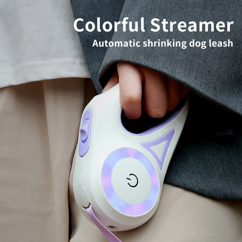 Walk Your Dog Stylishly with Lights & Comfort!