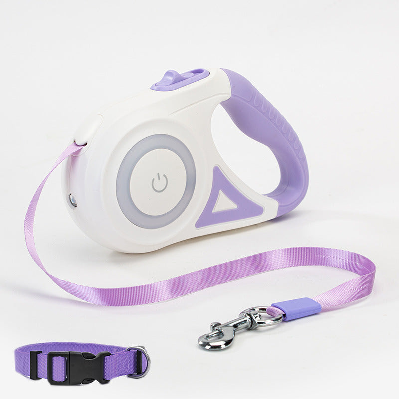 Walk Your Dog Stylishly with Lights & Comfort!