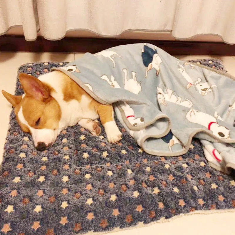 Cozy Cloud Fleece Bed for Dogs & Cats