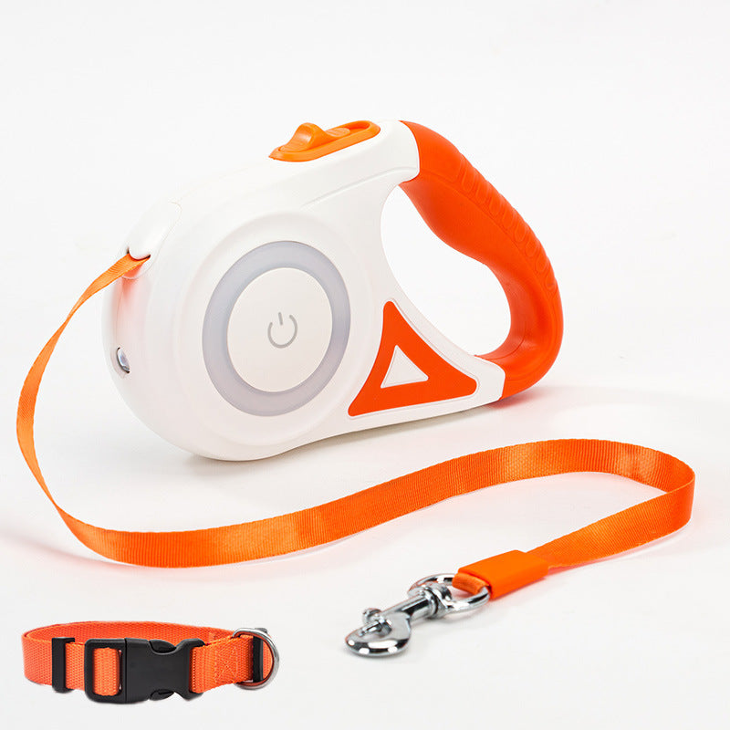 Walk Your Dog Stylishly with Lights & Comfort!