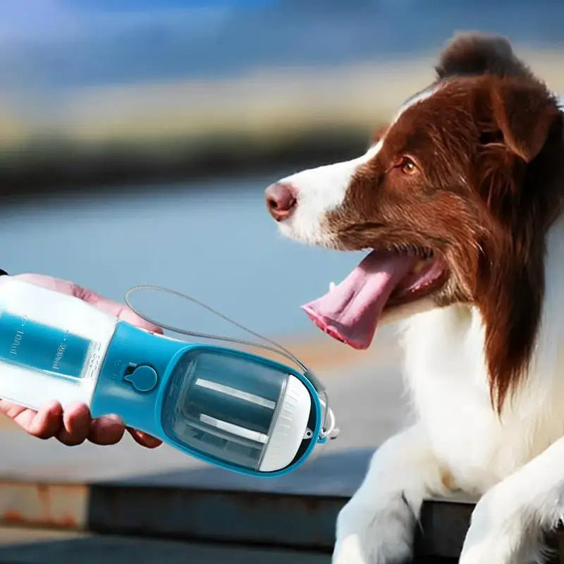 TailTrek Trio: Drink, Dine, Dispose Easily