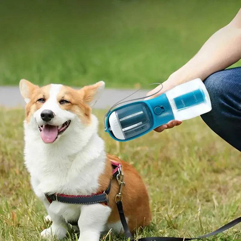 TailTrek Trio: Drink, Dine, Dispose Easily